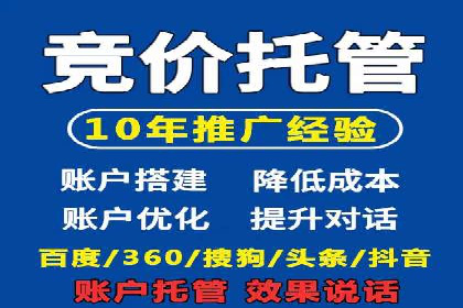 关键词竞价排名实战案例精选解析